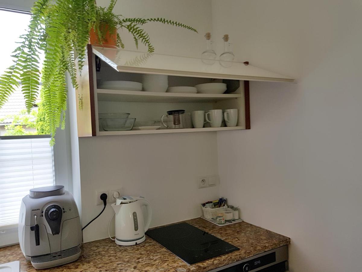 Appartamento Pod Modrzewiami Krynica-Zdrój Esterno foto
