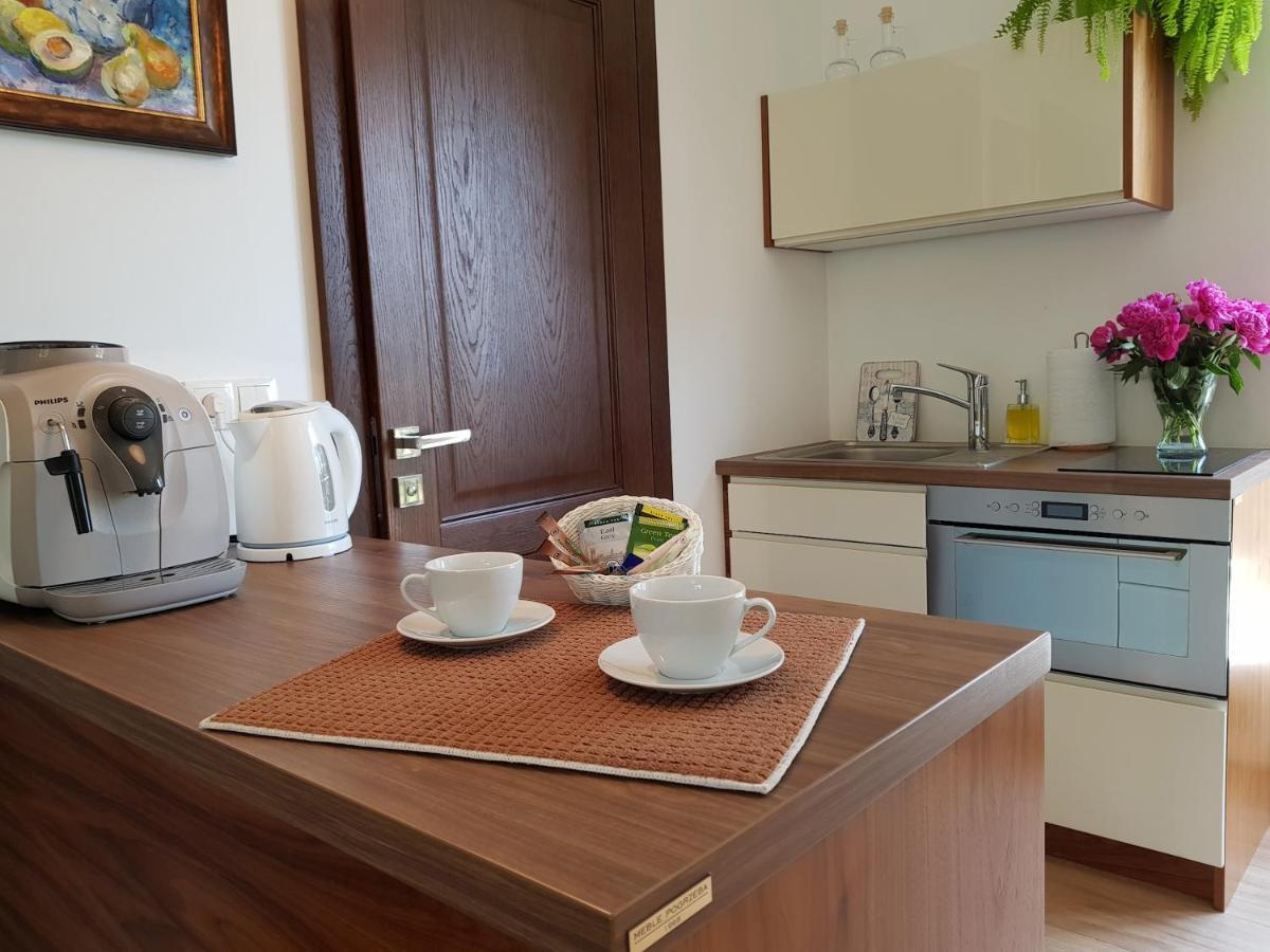 Appartamento Pod Modrzewiami Krynica-Zdrój Esterno foto